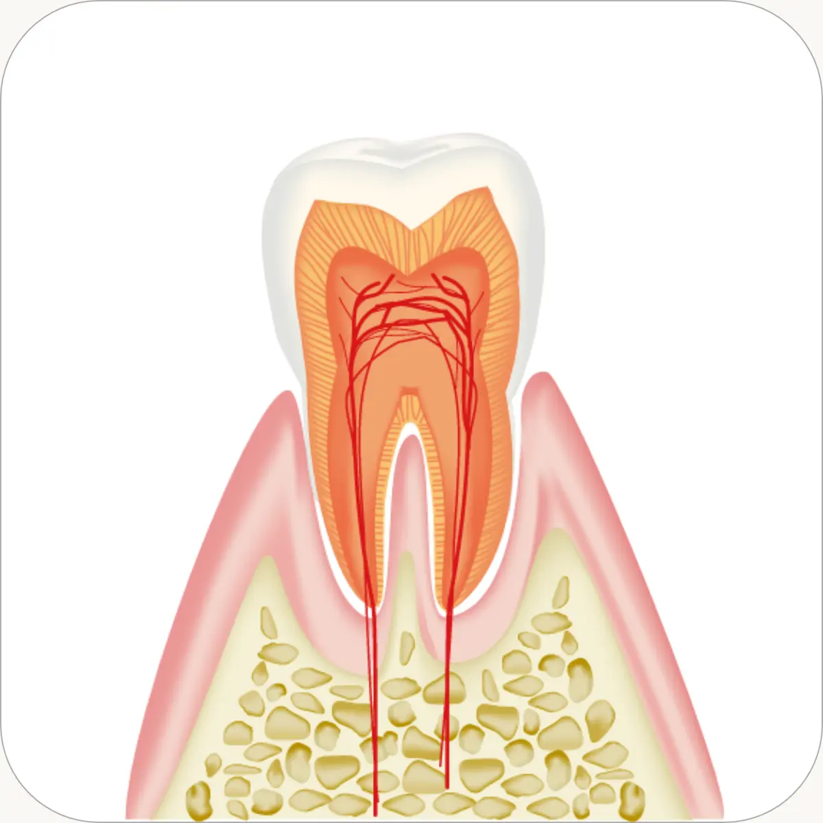 神経の治療にも力を入れています